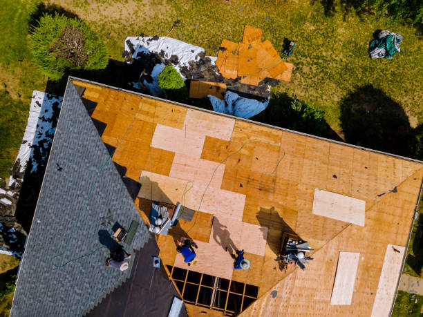 Best Roof Restoration Services  in Lynchburg, VA